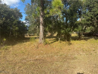 Caloosahatchee River Lot For Sale in Alva Florida