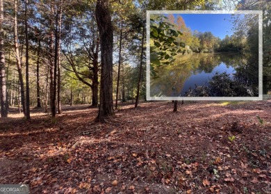 Lake Acreage For Sale in Clarkesville, Georgia