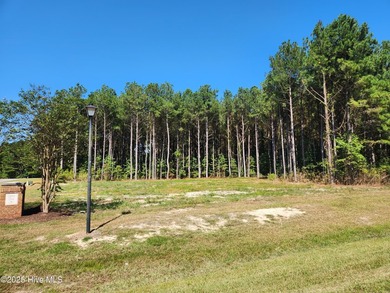 Corner lot in Riversound!! Just under 3 acres. Discover your - photo 11