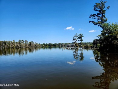Corner lot in Riversound!! Just under 3 acres. Discover your - photo 13