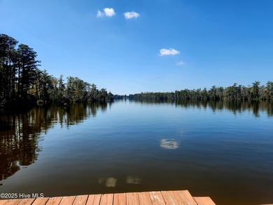 Corner lot in Riversound!! Just under 3 acres. Discover your - photo 14