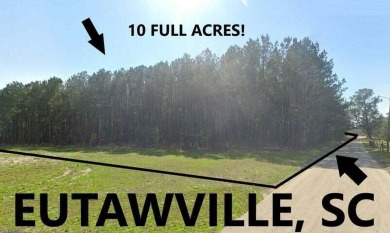 Lake Marion Acreage Active Under Contract in Eutawville South Carolina