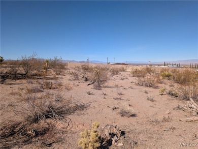 Owner will finance with 25% down!! Prime location on this - photo 2