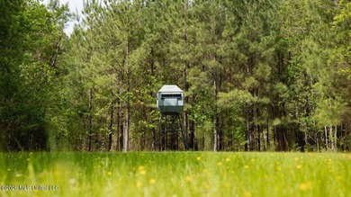 Welcome to Paradise Whitetails, an extraordinary 958+/- acre - photo 28