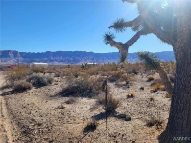Lake Mead Lot For Sale in Meadview Arizona