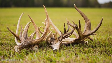 Welcome to Paradise Whitetails, an extraordinary 958+/- acre - photo 35