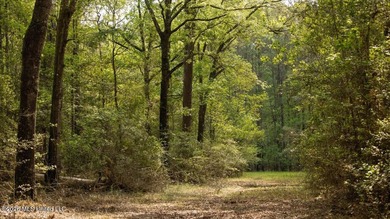 Welcome to Paradise Whitetails, an extraordinary 958+/- acre - photo 39