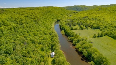 Lake Home For Sale in Hillsboro, West Virginia