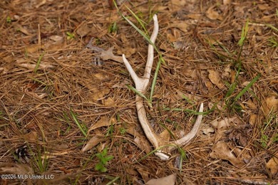 Welcome to Paradise Whitetails, an extraordinary 958+/- acre - photo 41