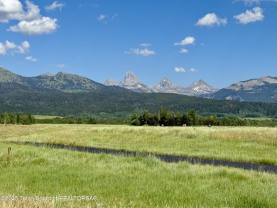 (private lake, pond, creek) Lot For Sale in Driggs Idaho