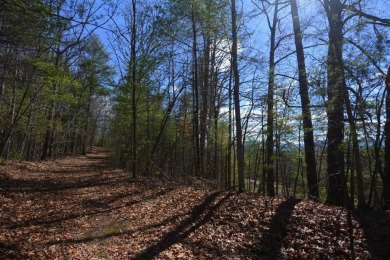 Lake Santeetlah Acreage For Sale in Robbinsville North Carolina