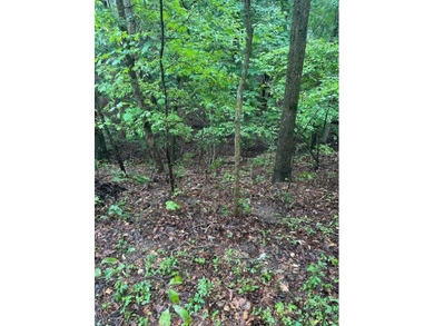 Lake Lot Off Market in Bella Vista, Arkansas