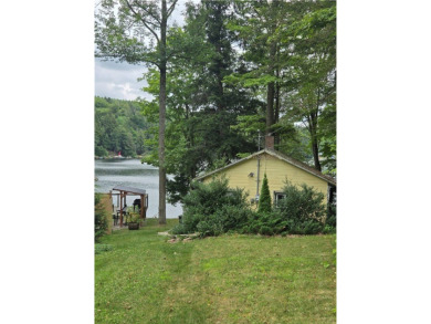 Lake Home For Sale in Howard, New York