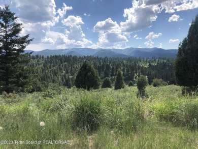 (private lake, pond, creek) Lot For Sale in Irwin Idaho