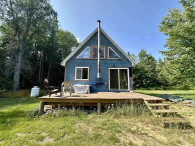 Lake Home For Sale in Newberry, Michigan