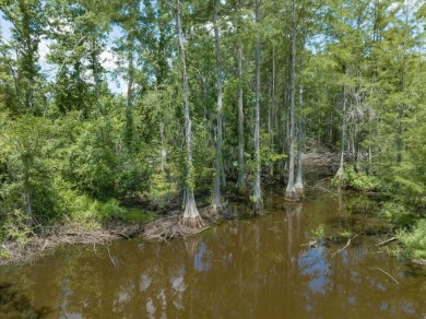 (private lake, pond, coastal) Acreage For Sale in Boston Georgia