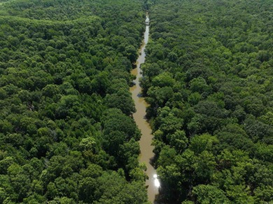 Lake Acreage For Sale in Conway, Arkansas
