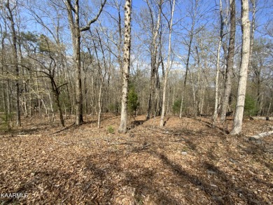 Build your dream home on this beautiful neighborhood lot - Lake Lot For Sale in Rockwood, Tennessee