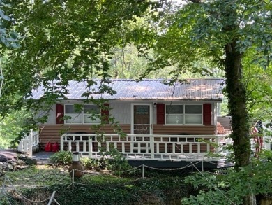 Must See!  Lakefront Cabin w/ Views and Dock! - Lake Home For Sale in Leitchfield, Kentucky