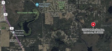 Tsala Apopka Chain of Lakes Lot For Sale in Inverness Florida