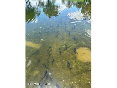Beautiful 58.16-acre property offering endless possibilities for - photo 11