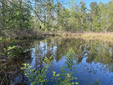 76.00 acre, more or less, hunting/timber tract with upside row - photo 11