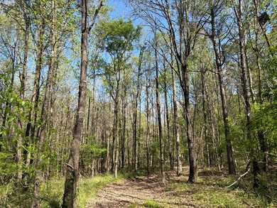 76.00 acre, more or less, hunting/timber tract with upside row - photo 12