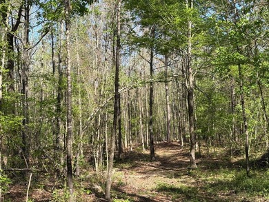 76.00 acre, more or less, hunting/timber tract with upside row - photo 13