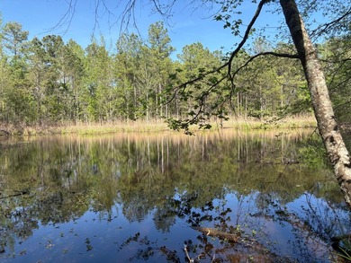 76.00 acre, more or less, hunting/timber tract with upside row - photo 14