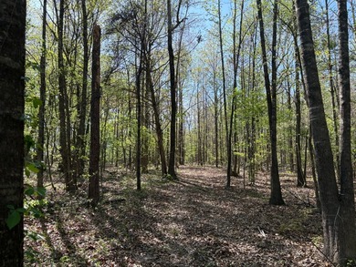 76.00 acre, more or less, hunting/timber tract with upside row - photo 16