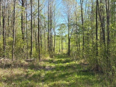 76.00 acre, more or less, hunting/timber tract with upside row - photo 17