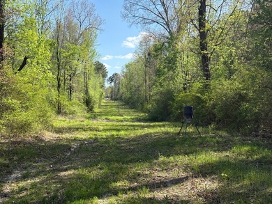 76.00 acre, more or less, hunting/timber tract with upside row - photo 18