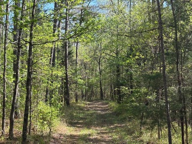 76.00 acre, more or less, hunting/timber tract with upside row - photo 20