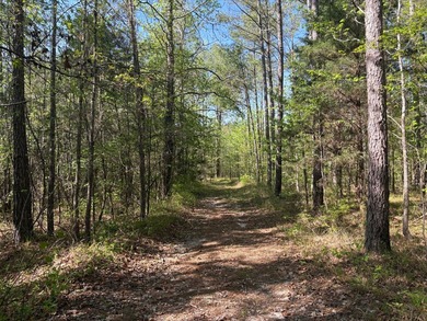 76.00 acre, more or less, hunting/timber tract with upside row - photo 22