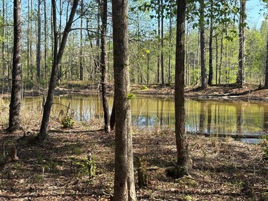 76.00 acre, more or less, hunting/timber tract with upside row - photo 25