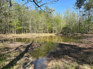 76.00 acre, more or less, hunting/timber tract with upside row - photo 26
