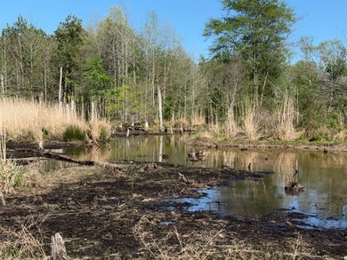 76.00 acre, more or less, hunting/timber tract with upside row - photo 28