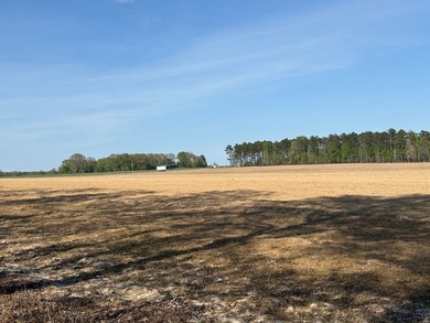 76.00 acre, more or less, hunting/timber tract with upside row - photo 30