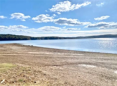 This Beaver Lake gem is the total package and is perfect for a - photo 31