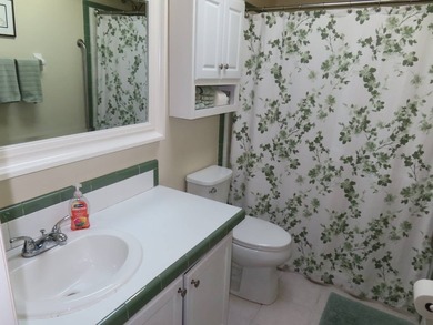 This beautiful home includes a newer roof & thermal windows - photo 40