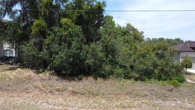 Lake Marion - Polk County Lot For Sale in Kissimmee Florida