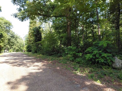 8 Lots in Ozark Acres in North Central Arkansas. Just outside - photo 1
