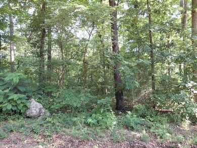 8 Lots in Ozark Acres in North Central Arkansas. Just outside - photo 2
