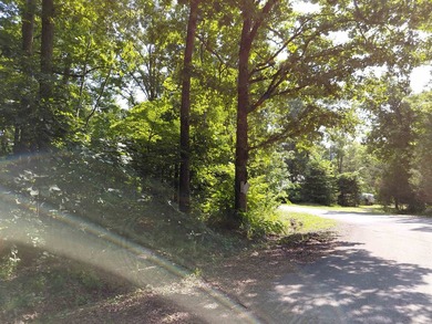 8 Lots in Ozark Acres in North Central Arkansas. Just outside - photo 3
