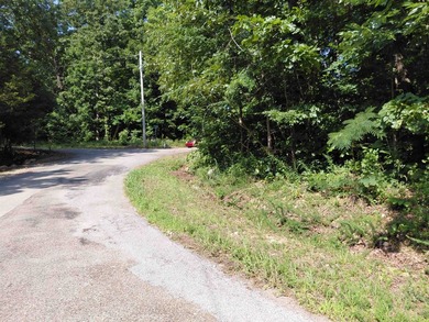 8 Lots in Ozark Acres in North Central Arkansas. Just outside - photo 4