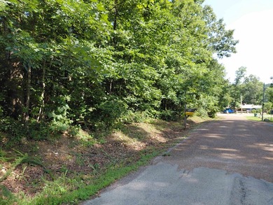 8 Lots in Ozark Acres in North Central Arkansas. Just outside - photo 5