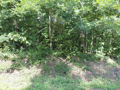 8 Lots in Ozark Acres in North Central Arkansas. Just outside - photo 6
