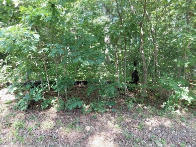 8 Lots in Ozark Acres in North Central Arkansas. Just outside - photo 7