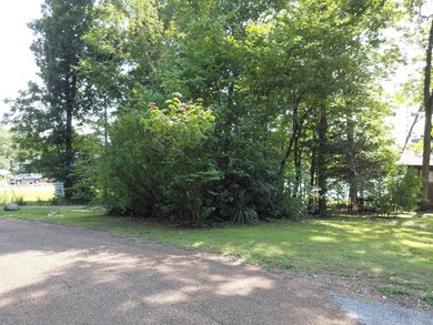 8 Lots in Ozark Acres in North Central Arkansas. Just outside - photo 8