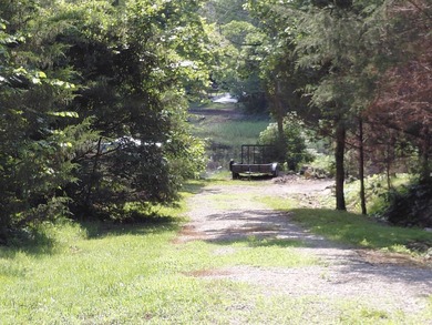 8 Lots in Ozark Acres in North Central Arkansas. Just outside - photo 9